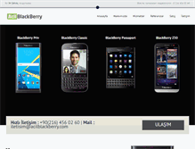 Tablet Screenshot of acilblackberry.com